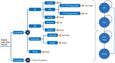 Cost-Effectiveness of Lorlatinib as a First-Line Therapy for Untreated Advanced Anaplastic Lymphoma Kinase-Positive Non-Small Cell Lung Cancer